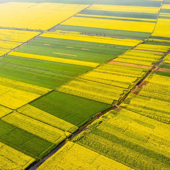 color-of-farmland-in-spring-9KVQDGN